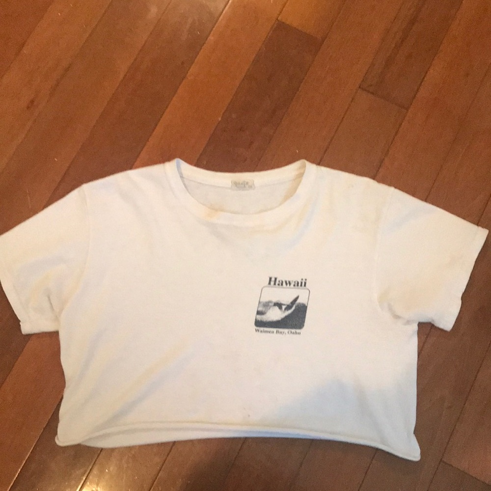 Brandy Melville Hawaii crop top